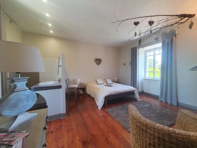 Standard Double room with view