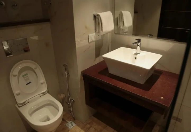 Standard Double Club room with view