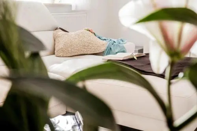 Ferienwohnung Schmetterling