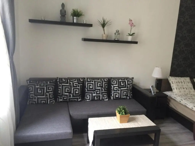 Central Luxury Residence