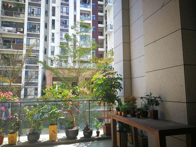 You Hostel Shenzhen - Adults Only