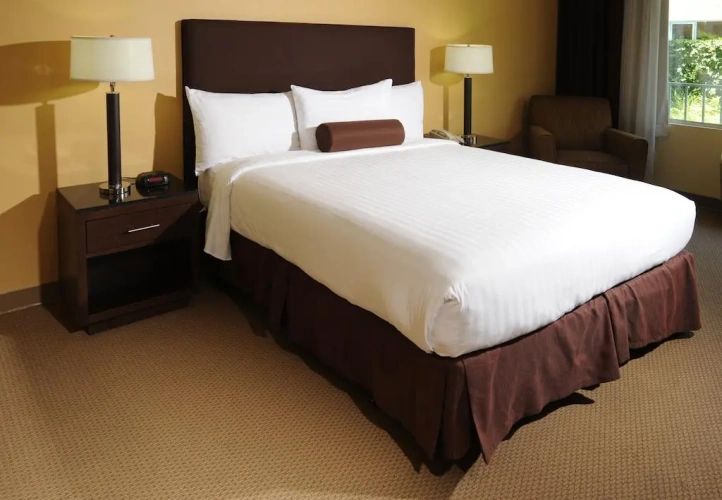 1 Bedroom Suite