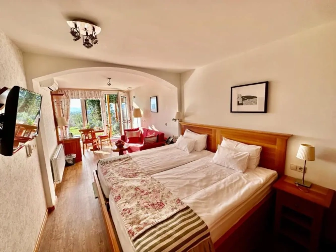 Standard Double room with view