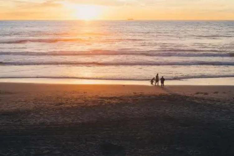 Beach Appartement Callantsoog