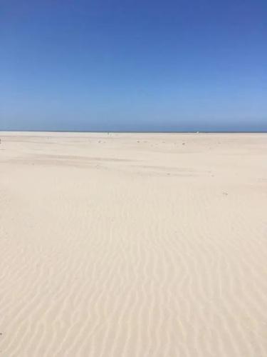 Bel appartement Zeebruges