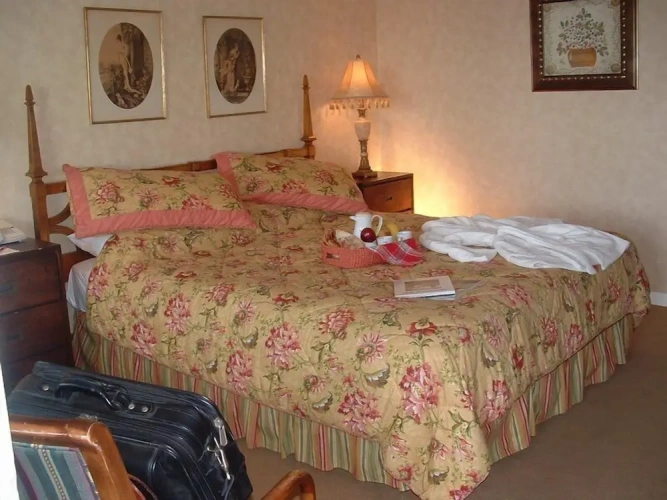 Standard Double room with ocean view