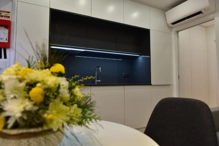 Basement Apartment