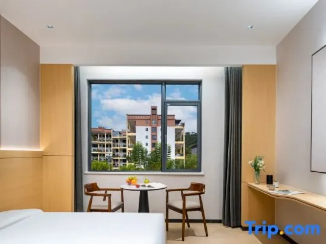 Standard Twin room with view