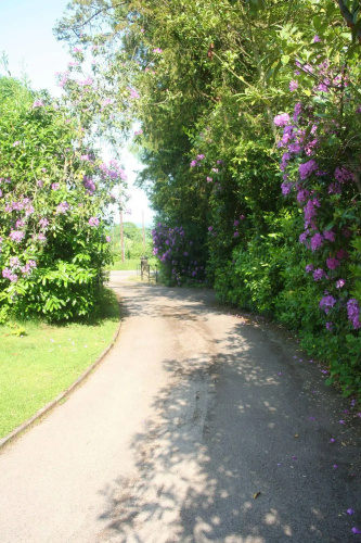 Oakdown Court B&B