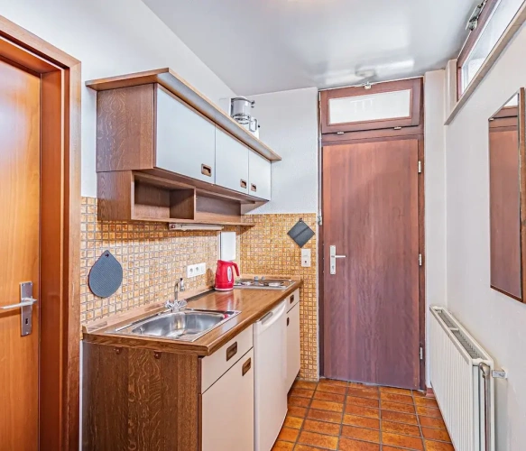 1 Bedroom Standard Apartment