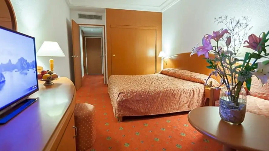 Standard Double room with balcony and with view