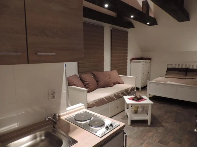 Deluxe Apartment with balcony and with view