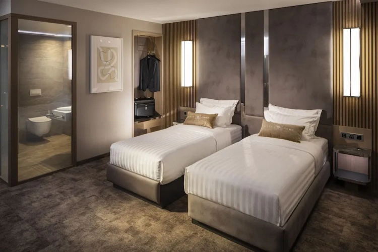 Deluxe Twin room
