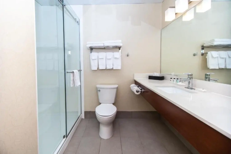 1 Bedroom Suite