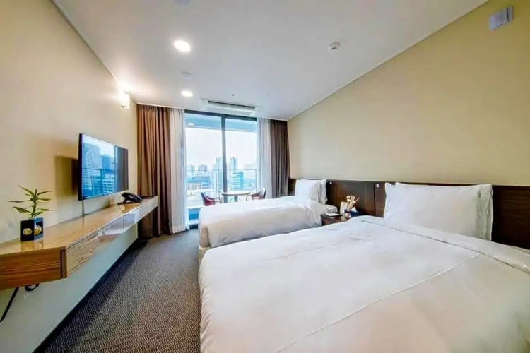 Deluxe Twin room with city view