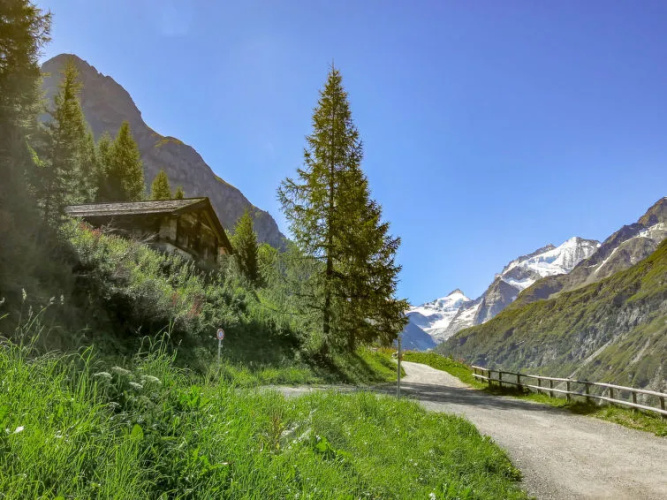 Chalet Epilobes