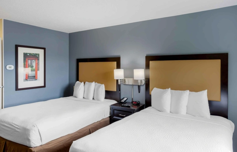 Quadruple Suite