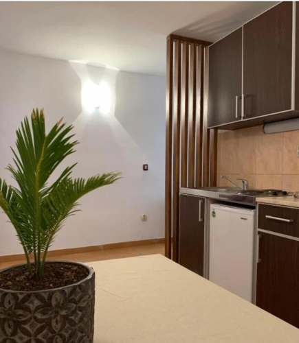 Classic Apartment