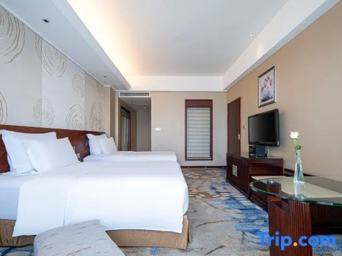 Twin Family Suite