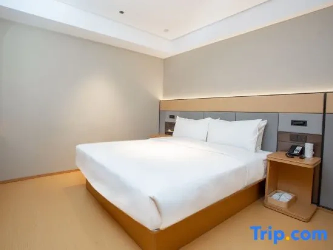 1 Bedroom Executive Suite