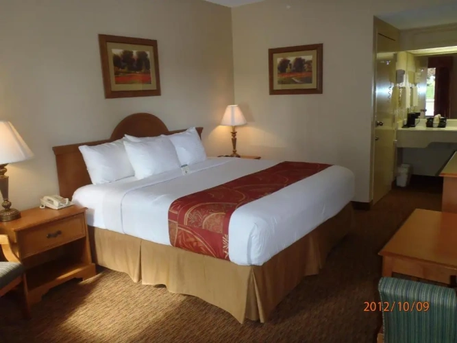Deluxe Double Suite