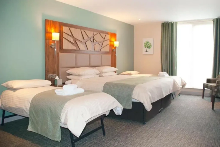 Standard Double room