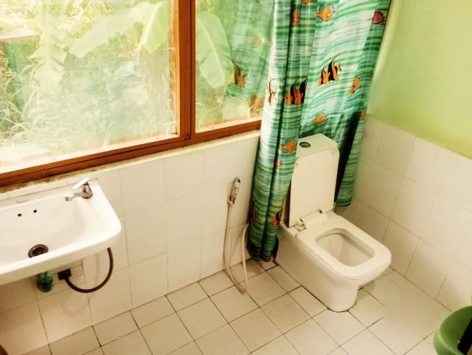 Economy Twin room with balcony and with view
