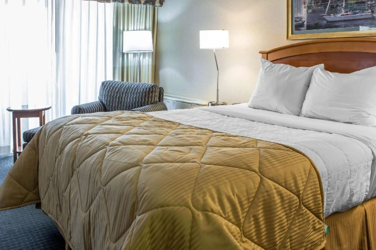 Single Suite
