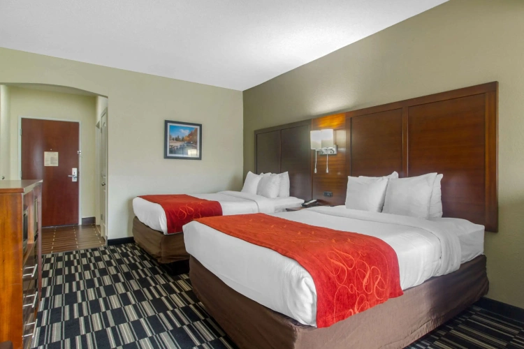 Quadruple Suite