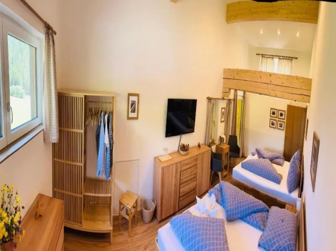 Deluxe Family room