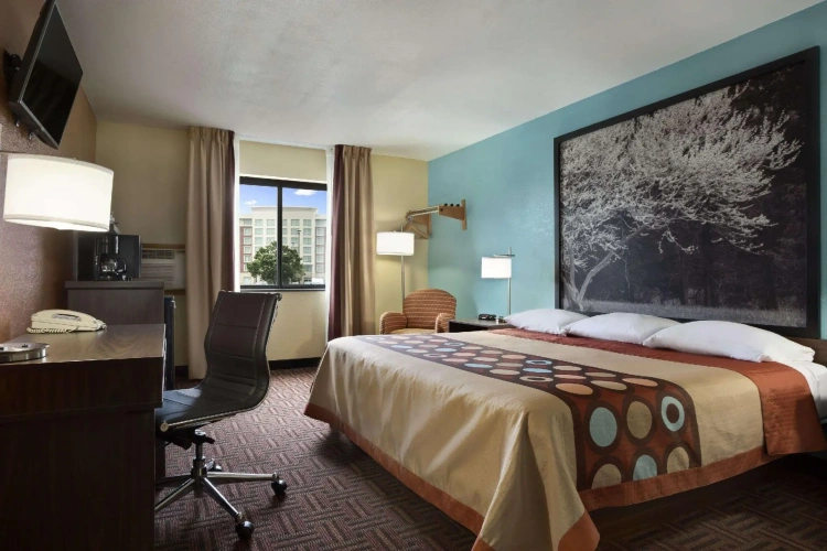 Double Studio Suite