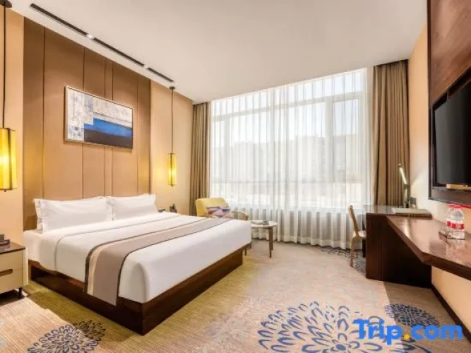 Standard Double room with city view
