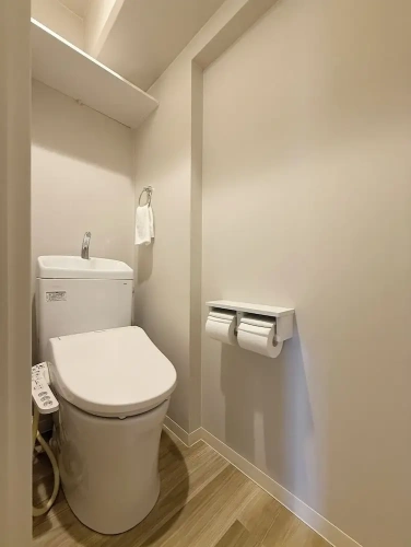 Luxury Apartment