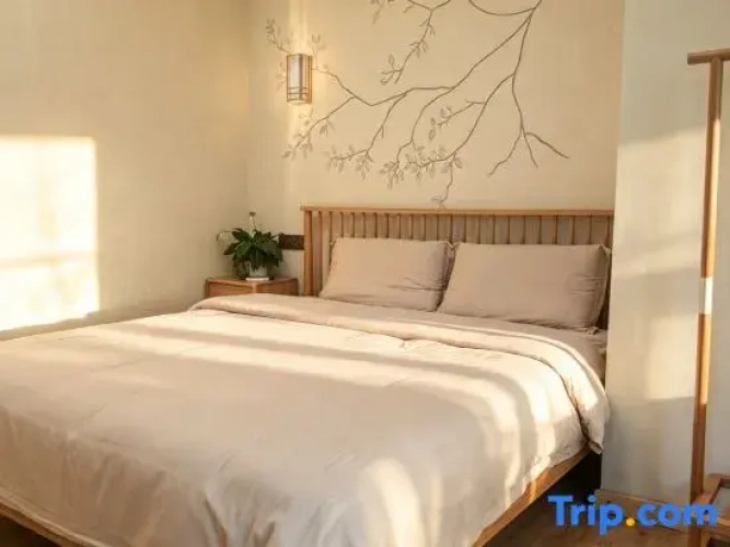 Standard Double room with courtyard view