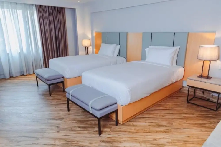 Superior Twin room with city view