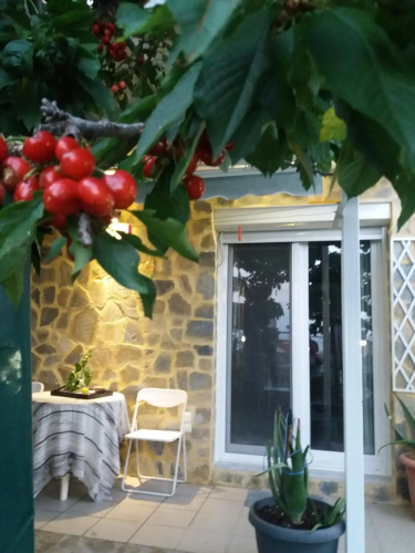 Garden's house