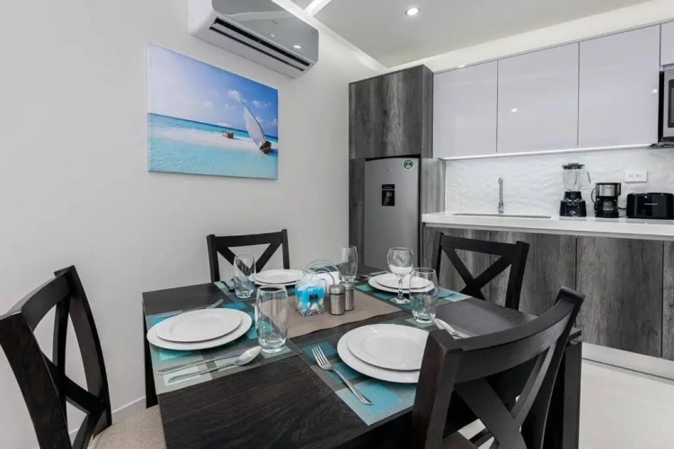 Luxury Apartment