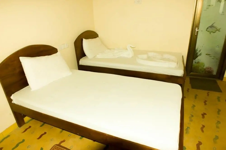 Standard Single room with garden view