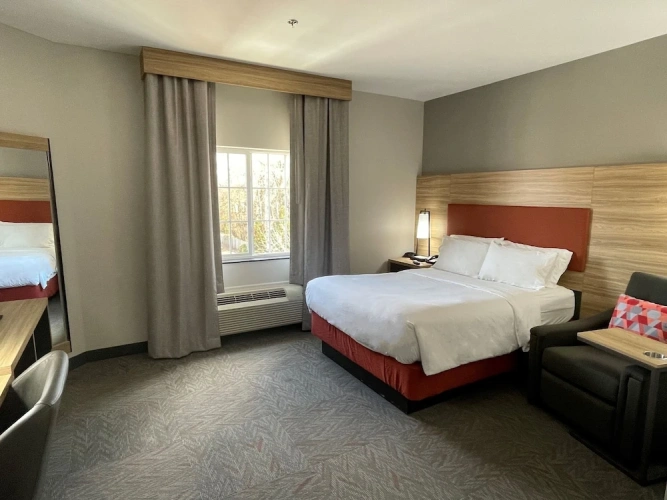 1 Bedroom Suite