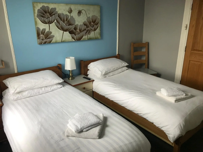 Standard Twin room