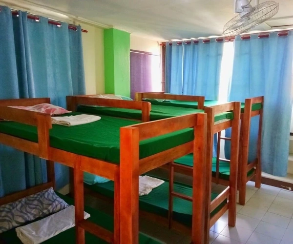 Bed in Dorm