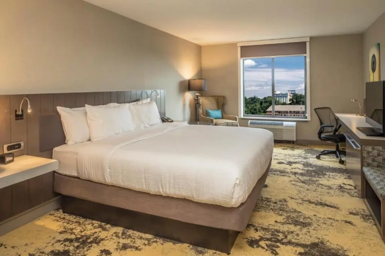 1 Bedroom Junior Suite