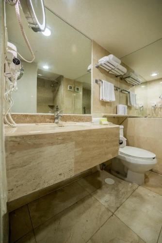 1 Bedroom Suite