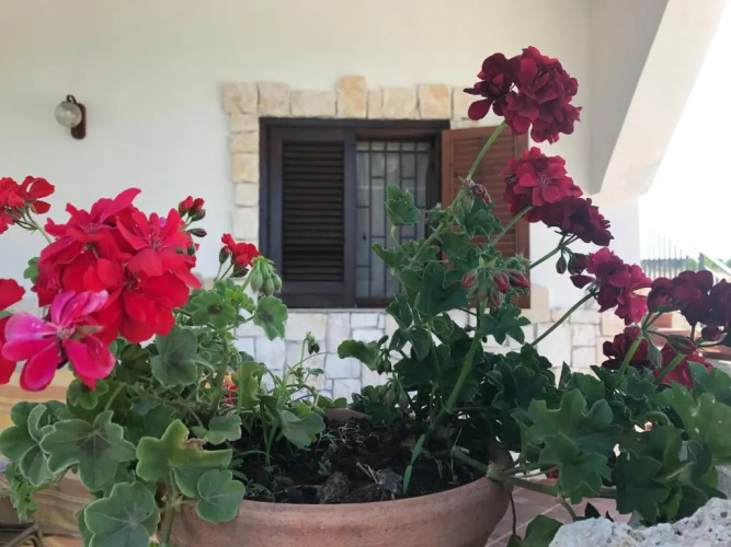 Casa Vacanze Rosa