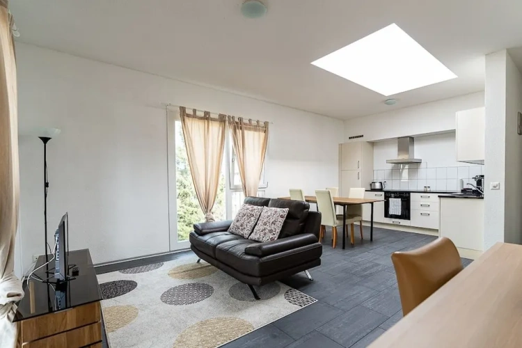 1 Bedroom Deluxe Apartment with city view