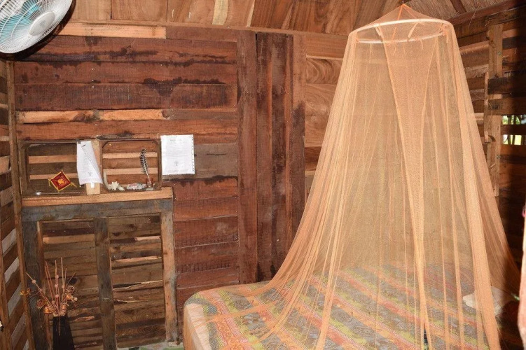 Camping Hostal El Árbol de la Vida