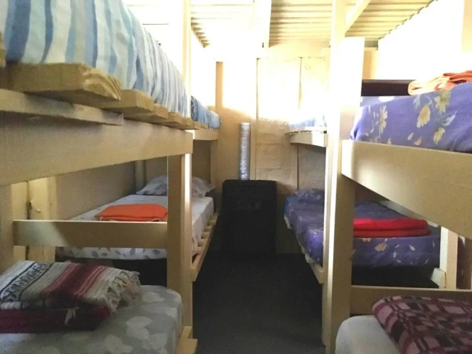 Bed in Dorm with view