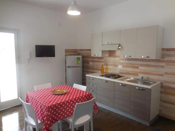 Basement Apartment