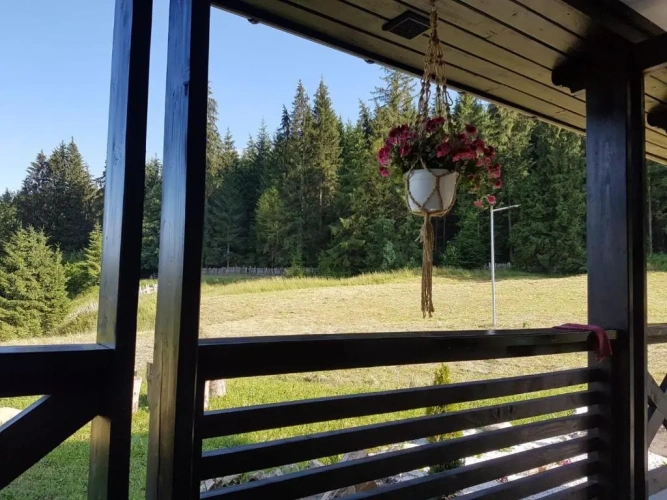 Standard Double room with mountain view