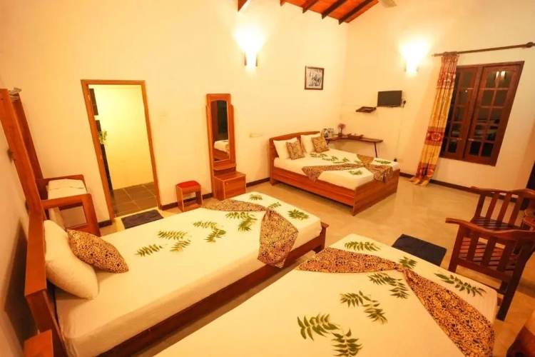 Family Suite